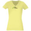 Women's Premium v-neck t-shirt Thumbnail